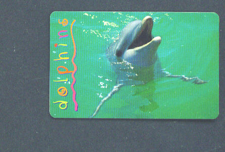 SOUTH AFRICA - Chip Phonecard/Dolphins - Sudafrica