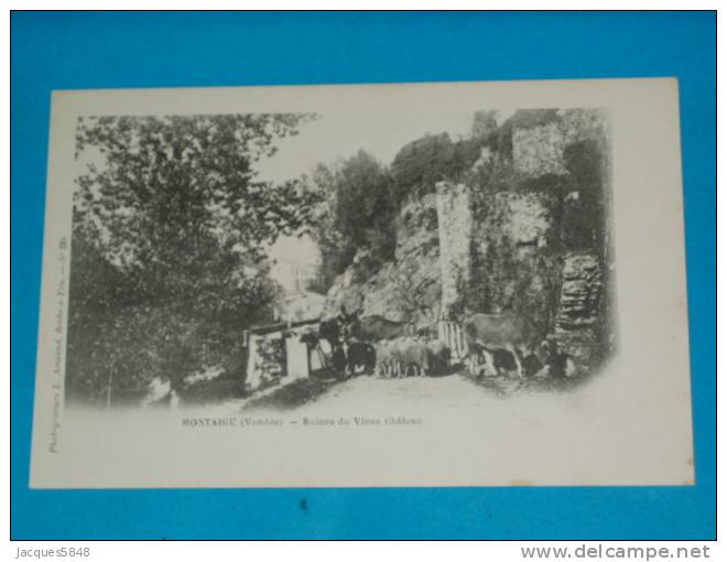 85) Montaigu - N° 224 - Ruines Du Vieux Chateau  - Année 1900  - EDIT - Amiaud - Montaigu