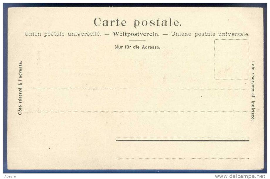 Schweizerische Gebirgspost, Nicht Gelaufen Um 1905 - Risch-Rotkreuz