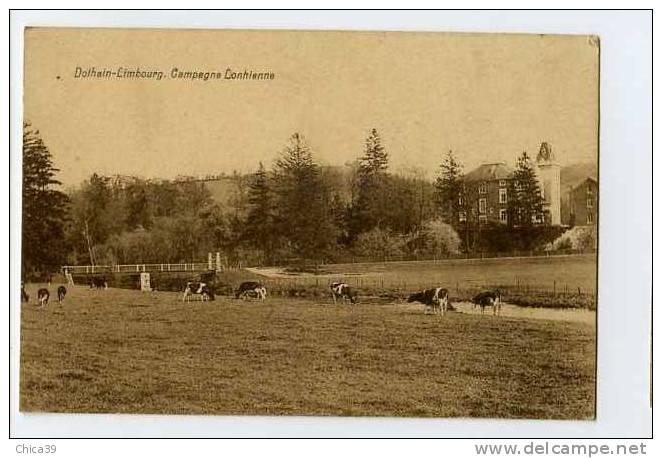 014561  -  Dolhain - Limbourg  -  Campagne Lonhienne - Limburg