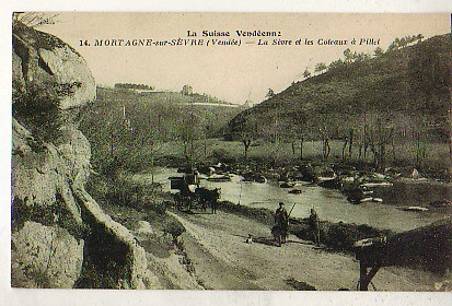 Mortagne Sur Sèvre : La Sèvre Et Les Coteaux à Pillet - Mortagne Sur Sevre