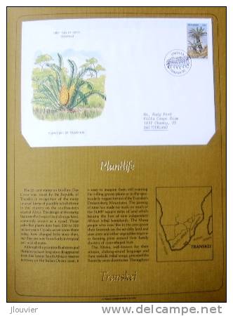 Enveloppe FDC Sur Feuillet - Plant Life Of Transkei. Transkei 1980. - Transkei