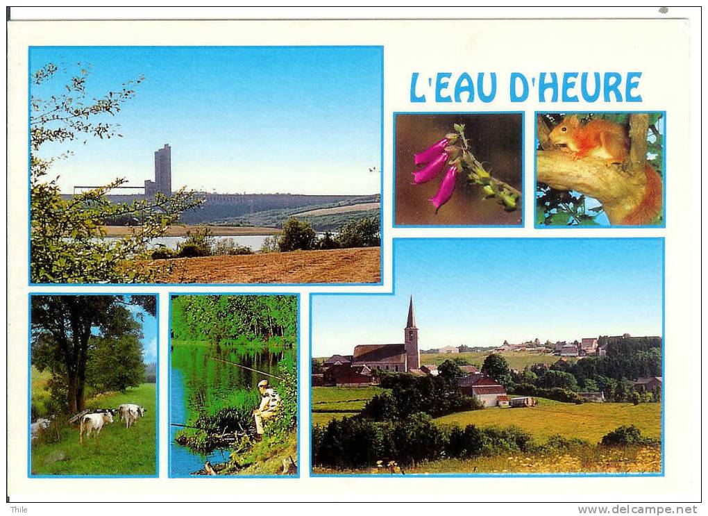 FROIDCHAPELLE - L'Eau D'Heure - Barrage De La Plate Taille - Eglise - Froidchapelle