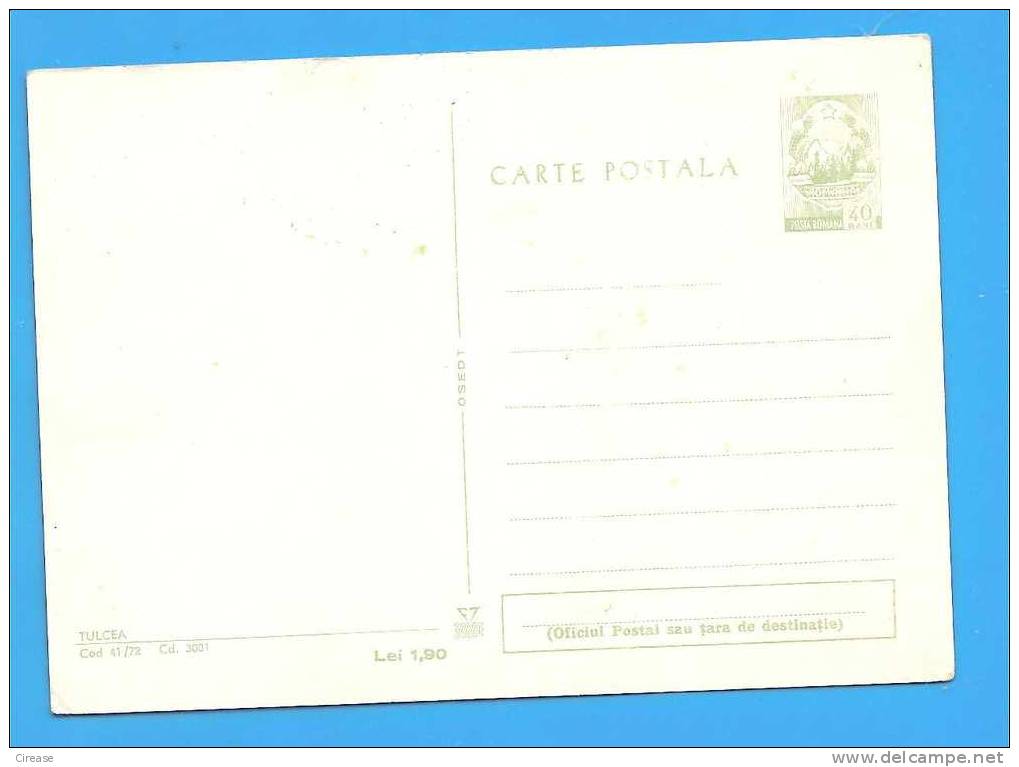 Pelican, Pelicans, Bird, Danube Delta ROMANIA Postal Stationery Postcard 1972 - Pelikane