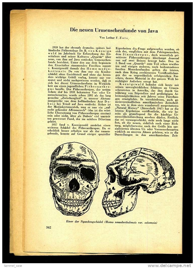 Kosmos Naturwissenschaftliche Zeitschrift  Nr. 11 / 12 1947  -  Die Neuen Urmenschenfunde Von Java - Oude Boeken