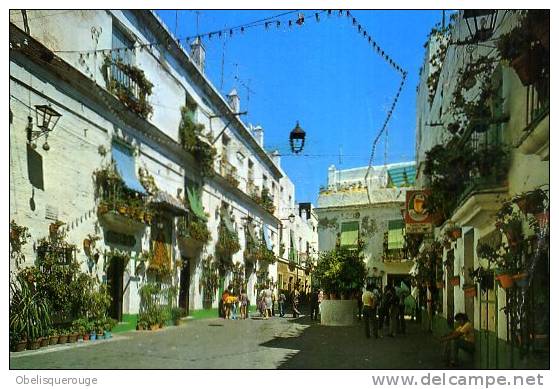 CADIZ  Plazuela Pinto N )104 ANIMATION - Cádiz