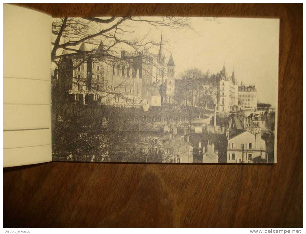 Carnet Ancien De 24 Cartes Postales Du Château De  PAU - Pau