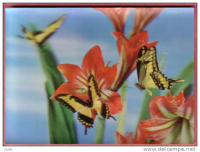 BUTTERFLIES - 3D ( Beautifull Three-dimensional Postcard ) Butterfly Papillon Schmetterling Mariposa Farfalla Papillons - Papillons