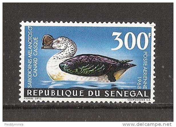 Sénégal:  PA 66 **  Canard Casqué - Entenvögel