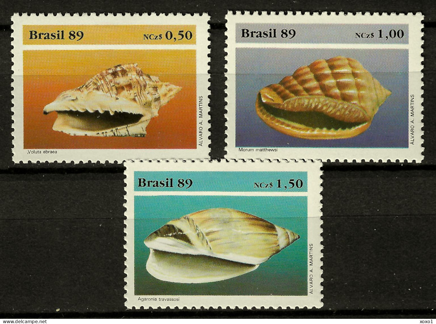 Brazil 1989 Mi.No. 2318 - 2320 Brasilien Shells Marine Life   3v   MNH** 2,00 € - Coneshells