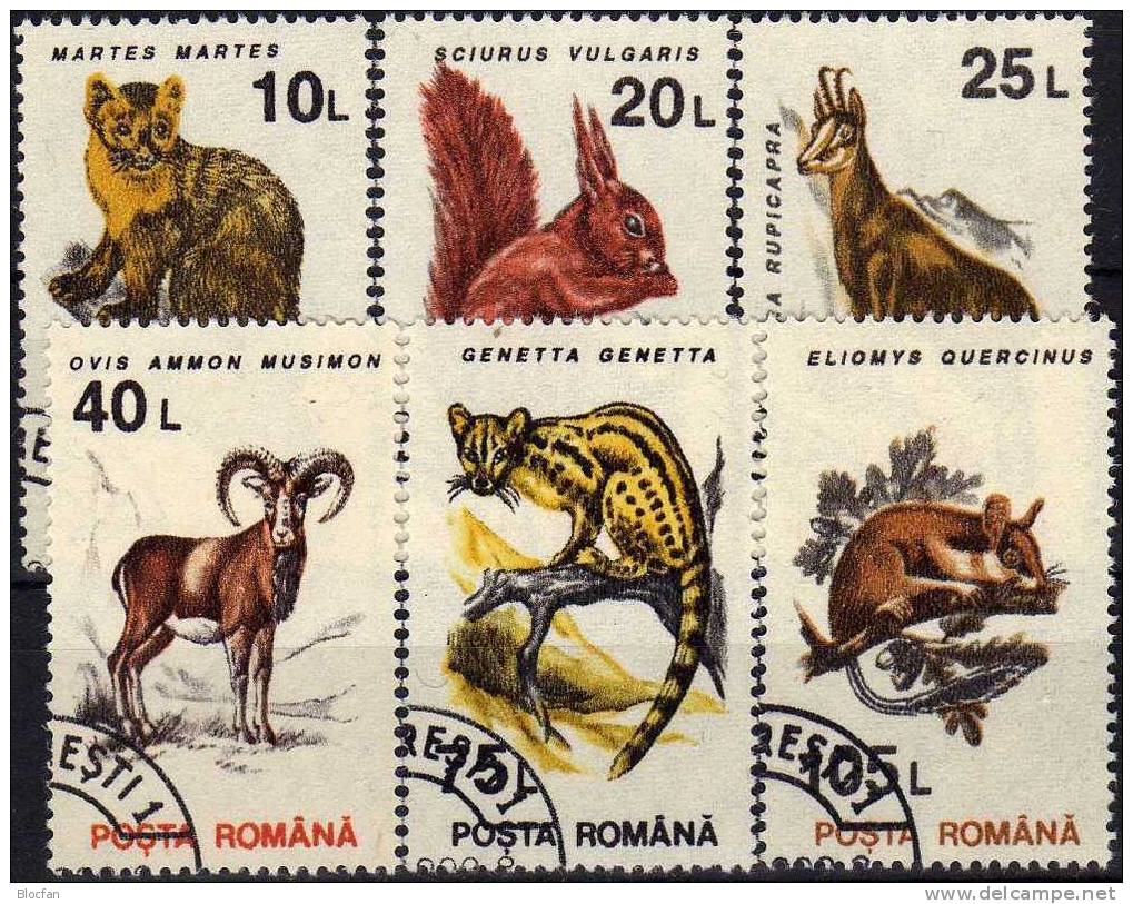 Tiere In Rumänien 4901/10 Im Set O 1€ Marder, Eichhörnchen, Gemse, Fuchs, Mufflon, Katze, Hermelin, Kaninchen - Gibier