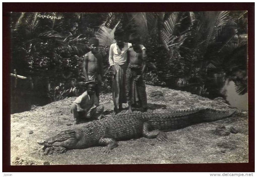 Cpsm Carte Photo En Asie Enfants Et Crocodile GP16 - Autres & Non Classés