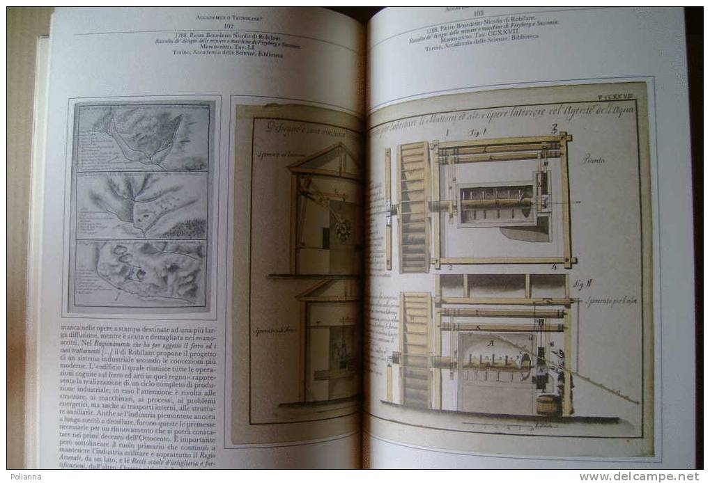 PDF/2 SOCIETA' E SCIENZA 200 Anni Di Storia Dell'Accademia Delle Scienze U.Allemandi - Torino 1988 - History, Biography, Philosophy