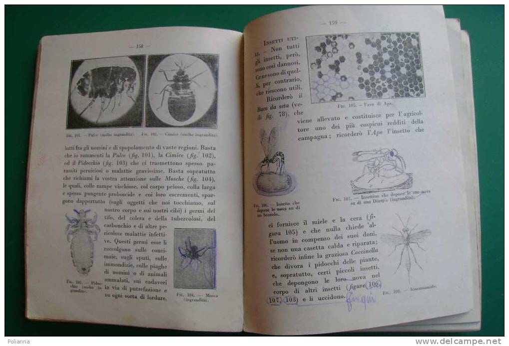 PDF/12 ARITMETICA E SCIENZE Libreria Dello Stato 1940/Balilla/Dirigibile Norge/Stabilimento Merano - Mathematik Und Physik