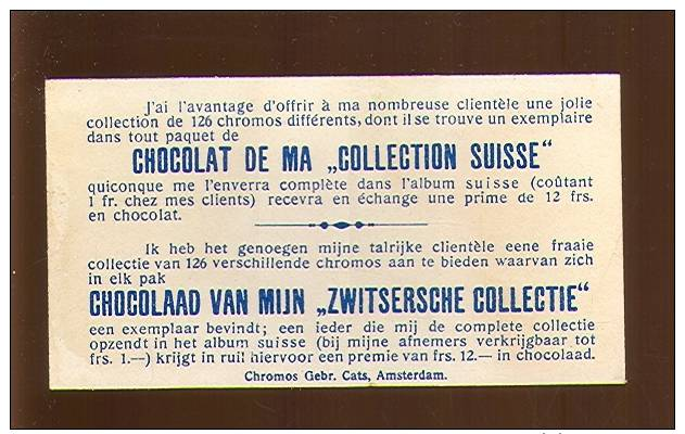 Chromo ( 1438 ) Chocolade Chocolat De Ma " Collection Suisse " Chromos Cats, Amsterdam - Signaux Signalen Guerre Oorlog - Other & Unclassified