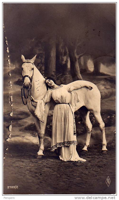 PFERDE WEISS ,  YOUNGE  MÄDCHEN OLD POSTCARD 1914 - Pferde