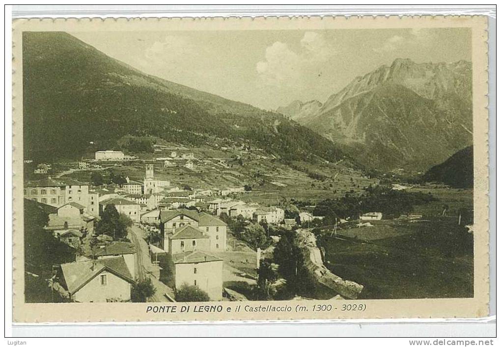 Cartolina - BRESCIA  - PONTE DI LEGNO PANORAMA E IL CASTELLACCIO - LOMBARDIA - Brescia