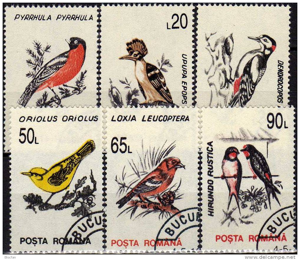 Singvögel 1993 Rumänien 4875/84 O 5€ Elster Adler Gimpel Wiedehopf Specht Schwalbe Meise Star Pirol Birds Set Of ROMANIA - Cranes And Other Gruiformes