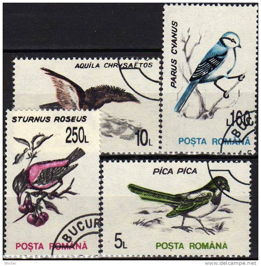 Singvögel 1993 Rumänien 4875/84 O 5€ Elster Adler Gimpel Wiedehopf Specht Schwalbe Meise Star Pirol Birds Set Of ROMANIA - Aves Gruiformes (Grullas)