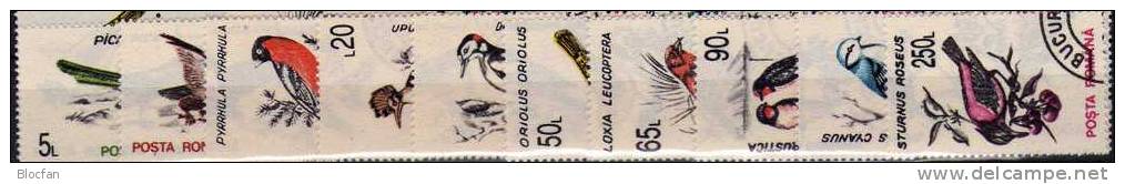 Singvögel 1993 Rumänien 4875/84 O 5€ Elster Adler Gimpel Wiedehopf Specht Schwalbe Meise Star Pirol Birds Set Of ROMANIA - Kraanvogels En Kraanvogelachtigen