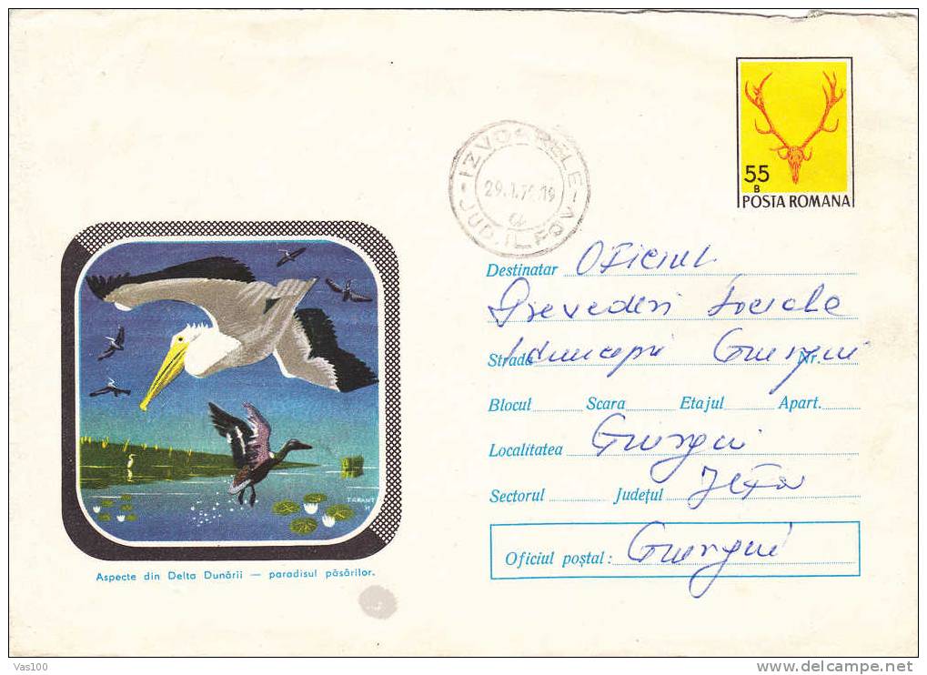 ENTIER POSTAUX STATIONERY COVER  BIRDS,PELICANS 1971 ,ROMANIA Cod.614/71. - Pélicans