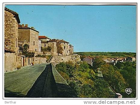 CPM 81 CASTELNAU DE MONTMIRAIL - Cite Medievale - Les Remparts - Castelnau De Montmirail