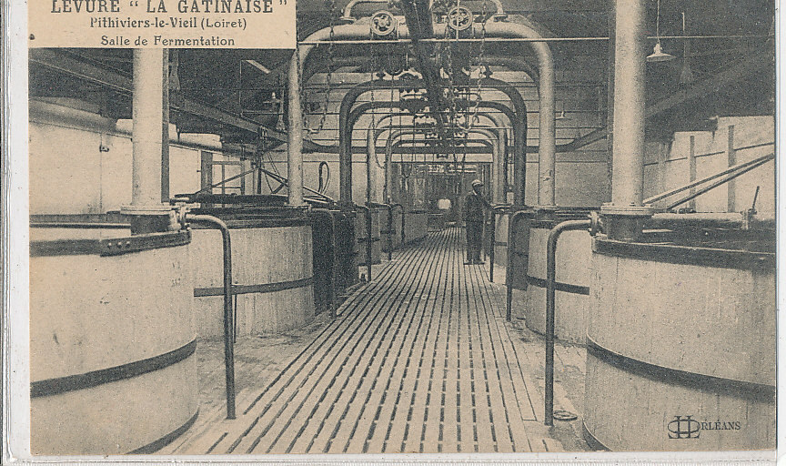 V 855/CPA   PITHIVIERS LE VIEIL (45)  LEVURE LA GATINAISE SALLE DE FERMENTATION - Pithiviers