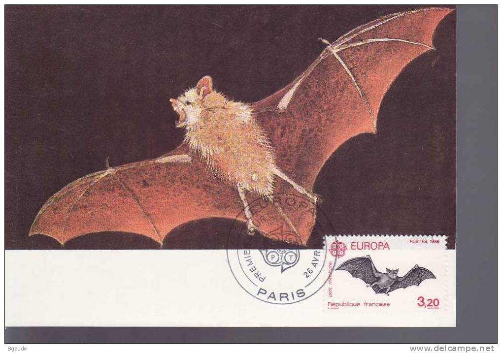 FRANCE  EUROPA CEPT 86 CARTE MAXIMUM NUM YVERT  2417 PROTECTION DE LA NATURE ANIMAUX  CHAUVE SOURIS - 1986