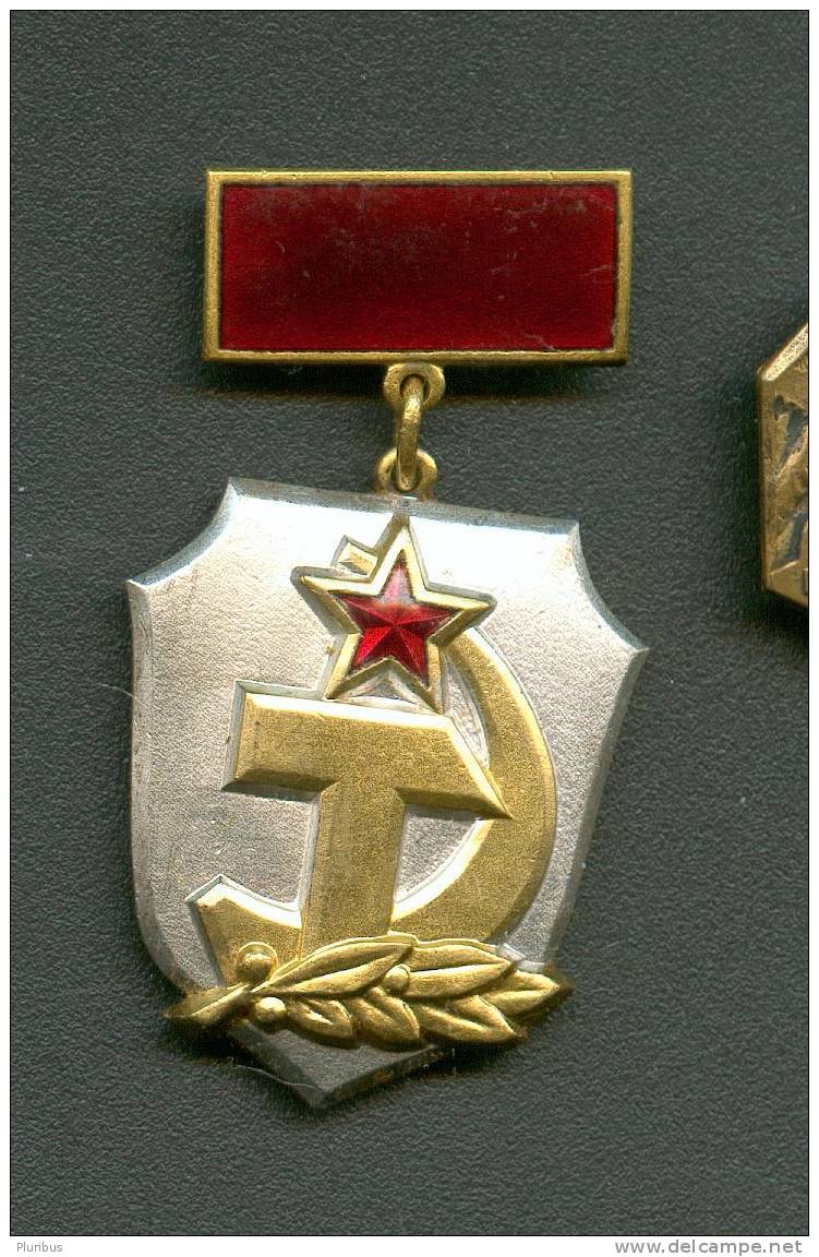 USSR RUSSIA MEDAL  BADGE FOR ACTIVE WORK IN INSTITUTIONS OF PEOPLES CONTROLL - Russia