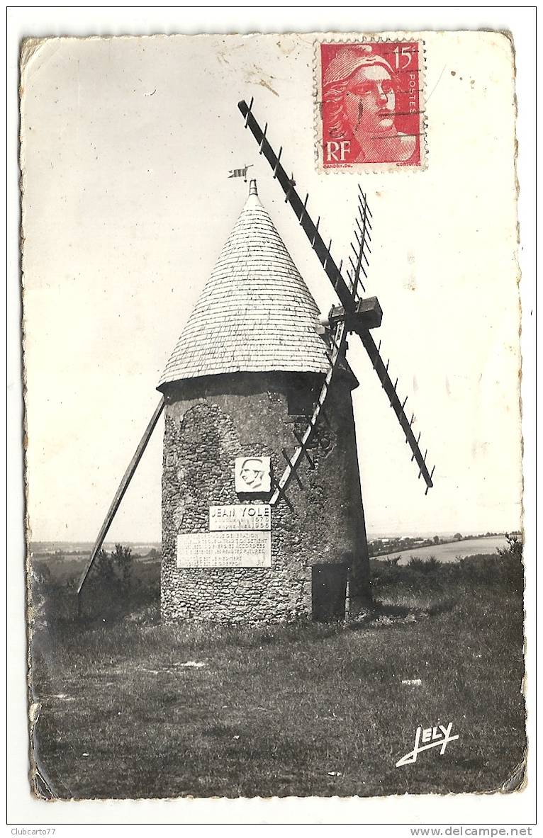 Les Herbiers (85) :Mémorial Jean Dyole Sur Le Moulin Du Mont Des Alouettes En 1962. - Les Herbiers