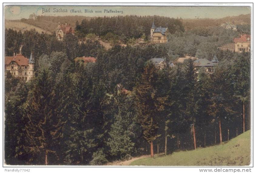 GERMANY - LOWER SAXONY - BAD SACHSA - BLICK VOM PLAFFENBERG - 1908 - Bad Sachsa