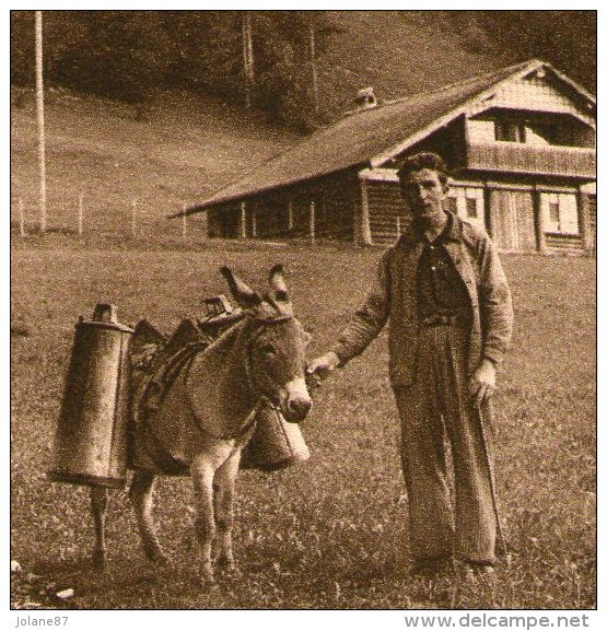 CPA   25     FRANCHE COMTE   LA DESCENTE DU LAIT DEPUIS LES FERMES     ANE AVEC POTS DE LAIT - Bauernhöfe