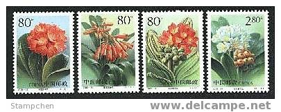 China 2000-24 Clivia Stamps Flower Lily Flora - Ongebruikt