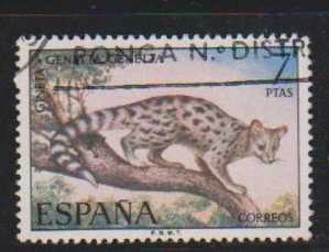 Spain 1972 Used, Fauna Series, 7p  Spotted Genet, Animal - Roedores