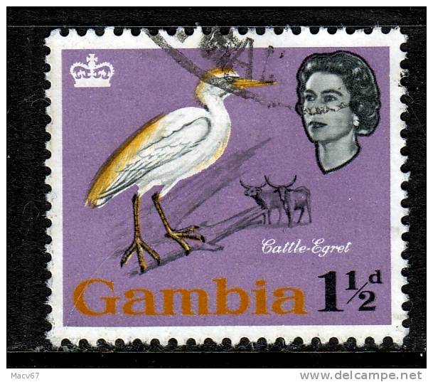 British Gambia 177  (o)   FAUNA  BIRDS - Gambia (...-1964)