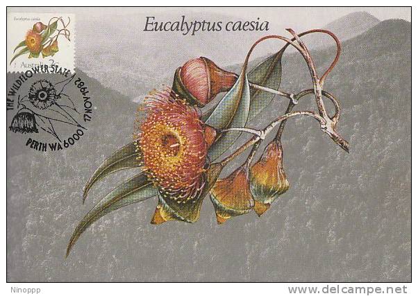 Australia-1982 Eucalypus,Eucalyptus Caesia  Maximum Card - Maximum Cards