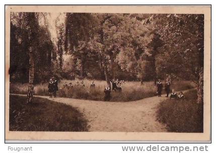 BELGIQUE:JODOIGNE .(Brabant Wallon.) Pensionnat De La Providence.Parc Avec élèves. - Jodoigne