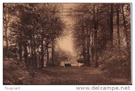 BELGIQUE:JODOIGNE .(Brabant Wallon.) Pensionnat De La Providence.Parc Avec Vaches. - Jodoigne