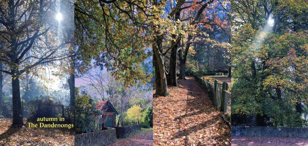 Australia Autumn In The Dandenongs - Superb European Gardens Unused - Altri & Non Classificati