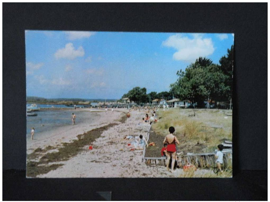 France Cartes Postales - 33 Gironde, Arès La Plage - Non Circulé - Autres & Non Classés