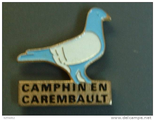 PIN'S PIGEON - COLOMBOPHILIE - CAMPHIN EN CAREMBAULT - Animaux