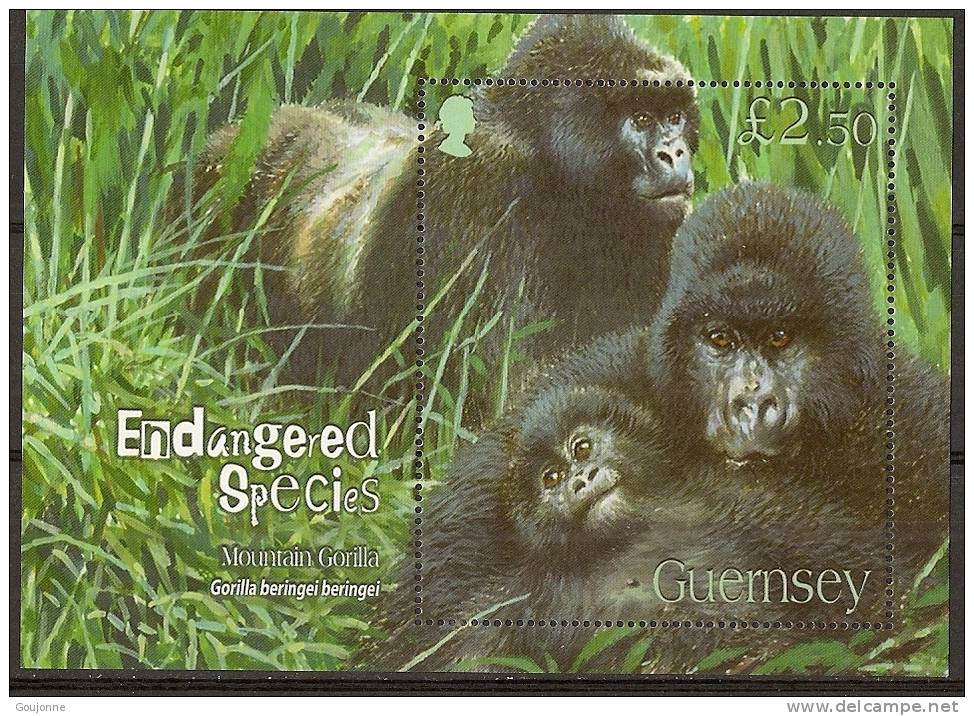 ILE DE GUERNESEY  Faune En Voie De Disparition   BF62** - Gorilla's