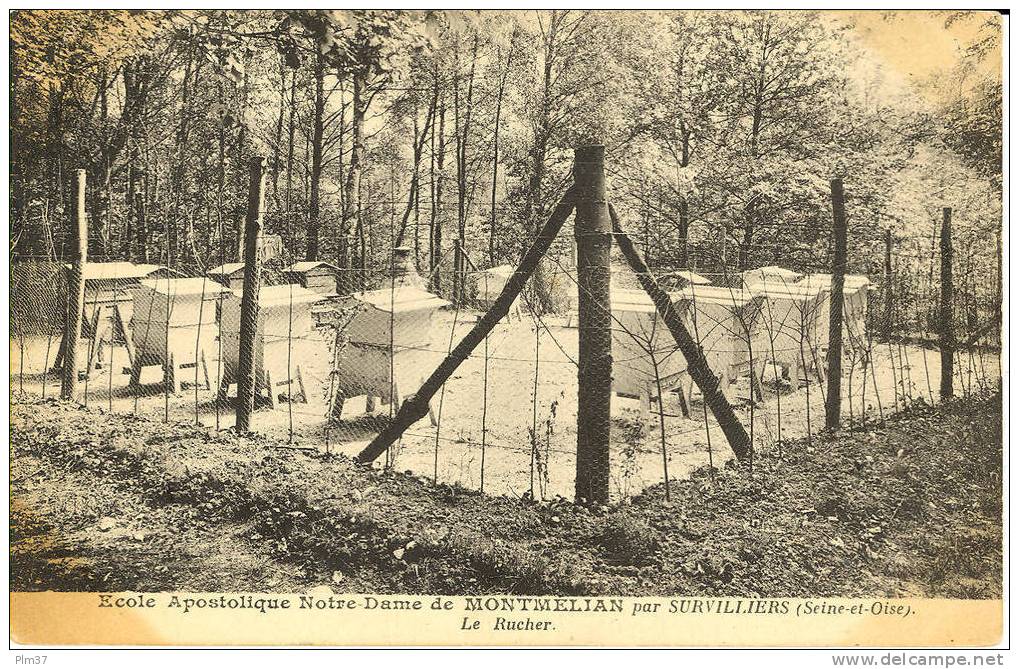 SURVILLIERS - Notre Dame De Montmélian - Le Rucher - Apiculture - Survilliers