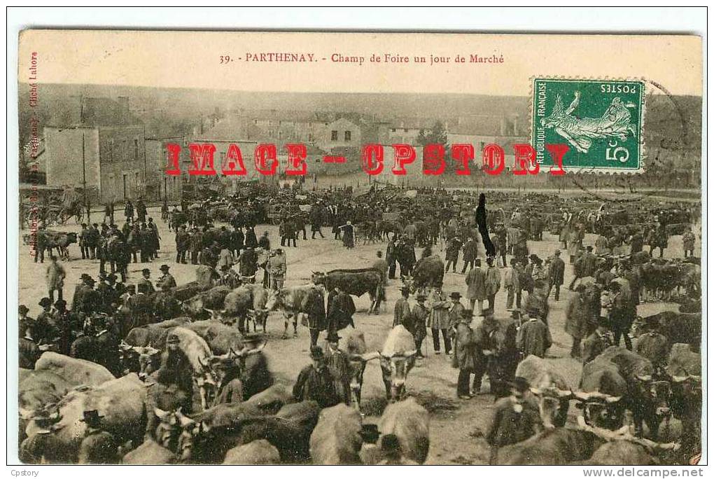 MARCHE Aux BESTIAUX  BOVINS & OVINS - Foire Aux Boeufs - Veau - Vaches - Dos Scané - Markets