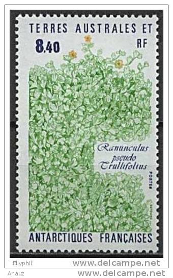 TAAF.1989. YVERT N° 154. FLORE DES TAAF. RANUNCULLUS. - Unused Stamps