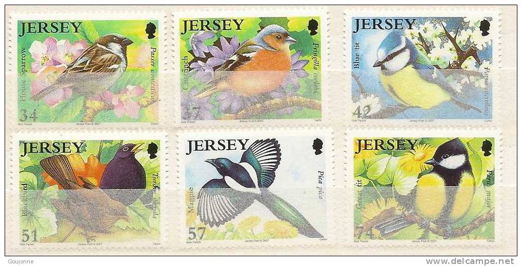 ILE DE JERSEY   Faune Oiseaux  1339 1344 * - Colibris