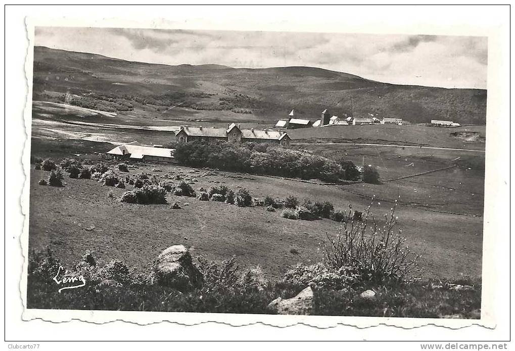 Aumont-Aubrac (48) : L'Hôtel Royal Et Vue Générale Sur L'Aubrac En 1958. - Aumont Aubrac