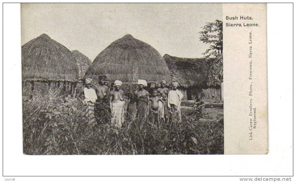 SIERRA LEONE : Bush Huts - Sierra Leone