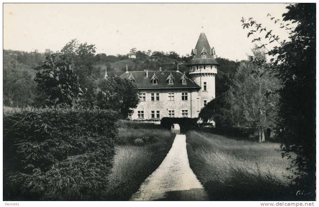 YENNE - Château De La Dragonnière - Yenne