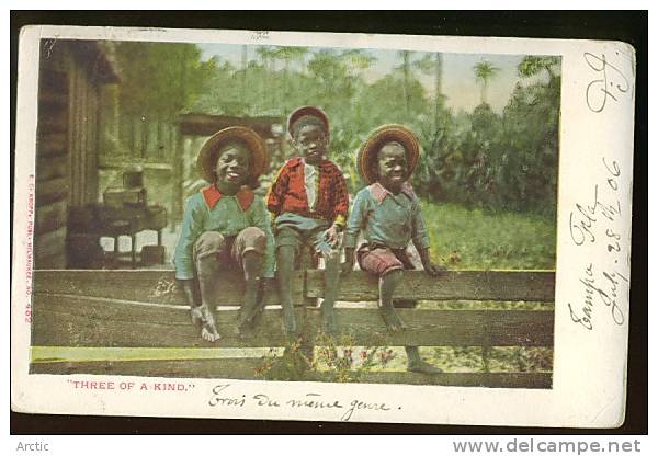 Three Of Kid  Enfants - Tampa